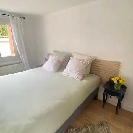 Apartmán La Perle De - Standing 100 M2 Au Bord Du Gérardmer
